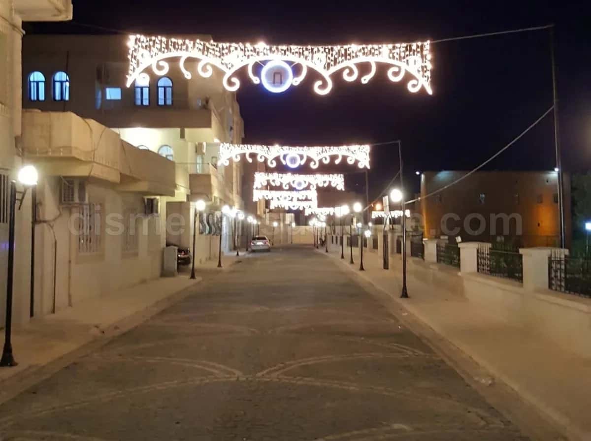 Adana belediye ölçeğinde cadde ve meydan ışık süsleme örneği #2