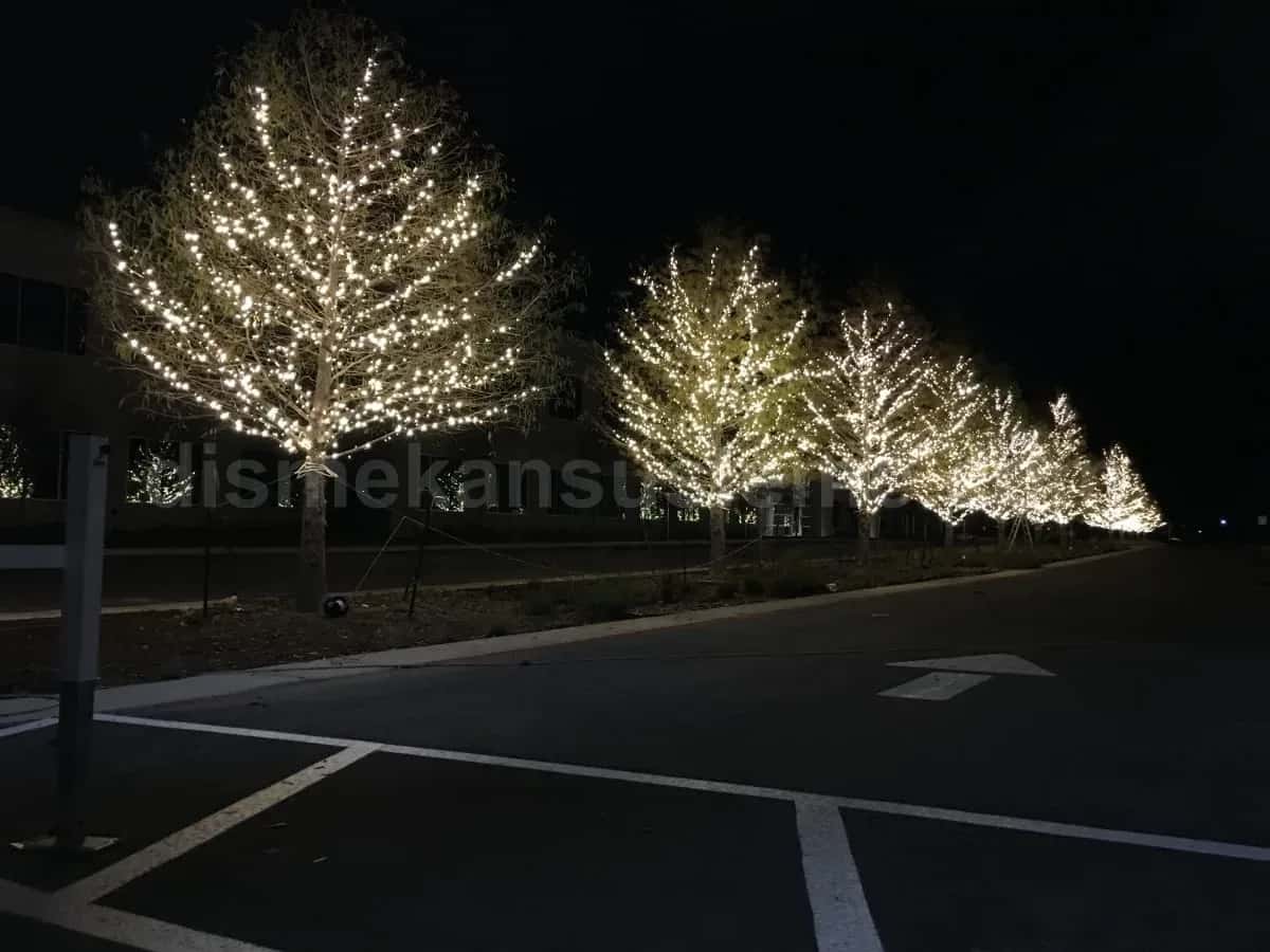 Yalova cadde ve belediye yılbaşı motif aydınlatma #56