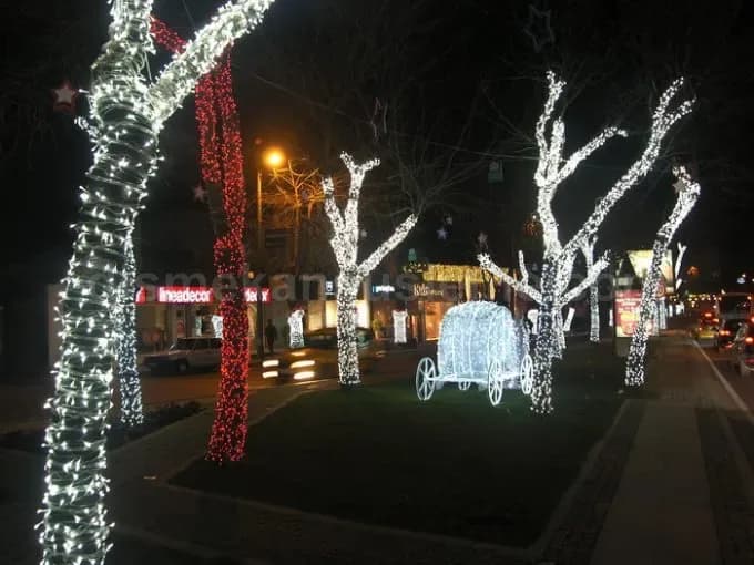 Kırşehir cadde ve belediye yılbaşı motif aydınlatma #749