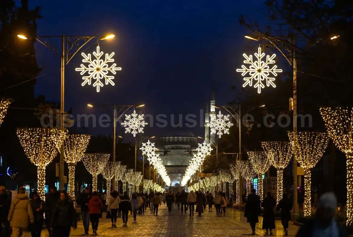 Nevşehir cadde ve belediye yılbaşı motif aydınlatma #658