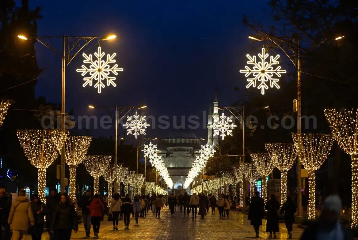 Nevşehir cadde ve belediye yılbaşı motif aydınlatma #658