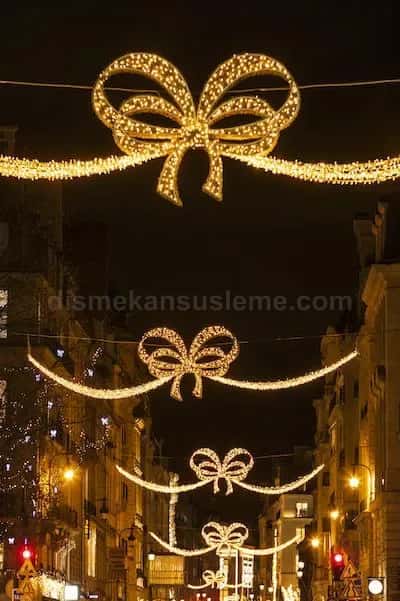 Ağrı cadde ve belediye yılbaşı motif aydınlatma #385