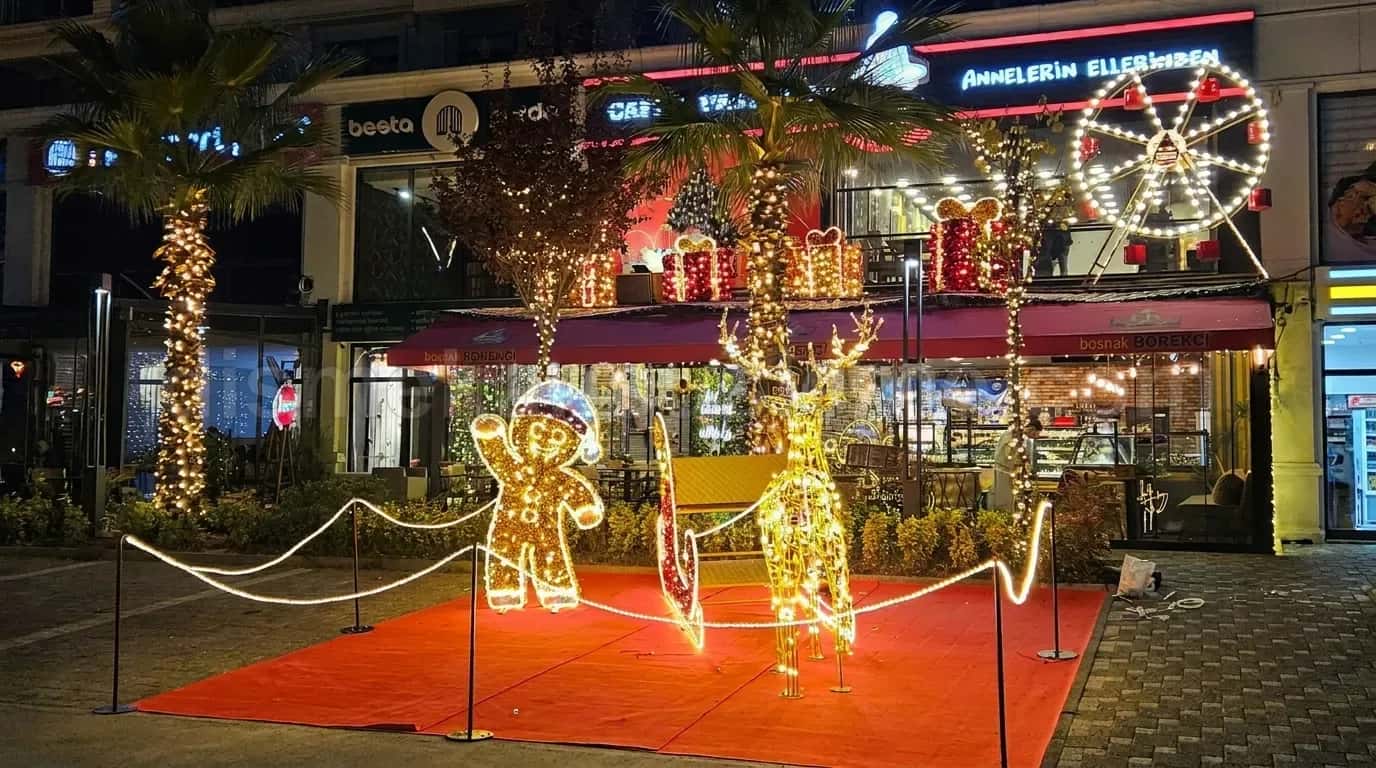 Isparta cadde ve belediye yılbaşı motif aydınlatma #596