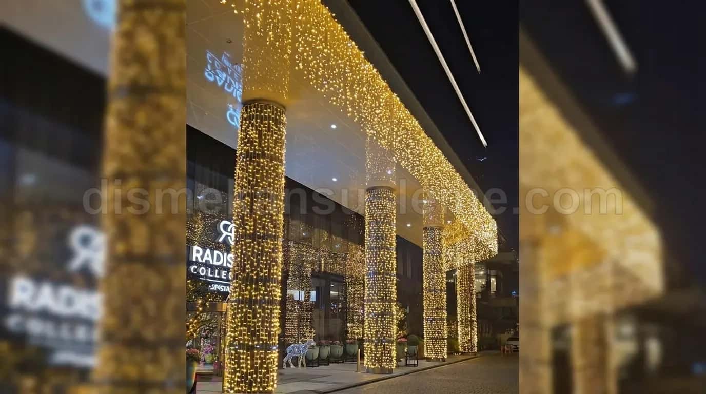 Bahçe - zeytin ağacı sarımı gece