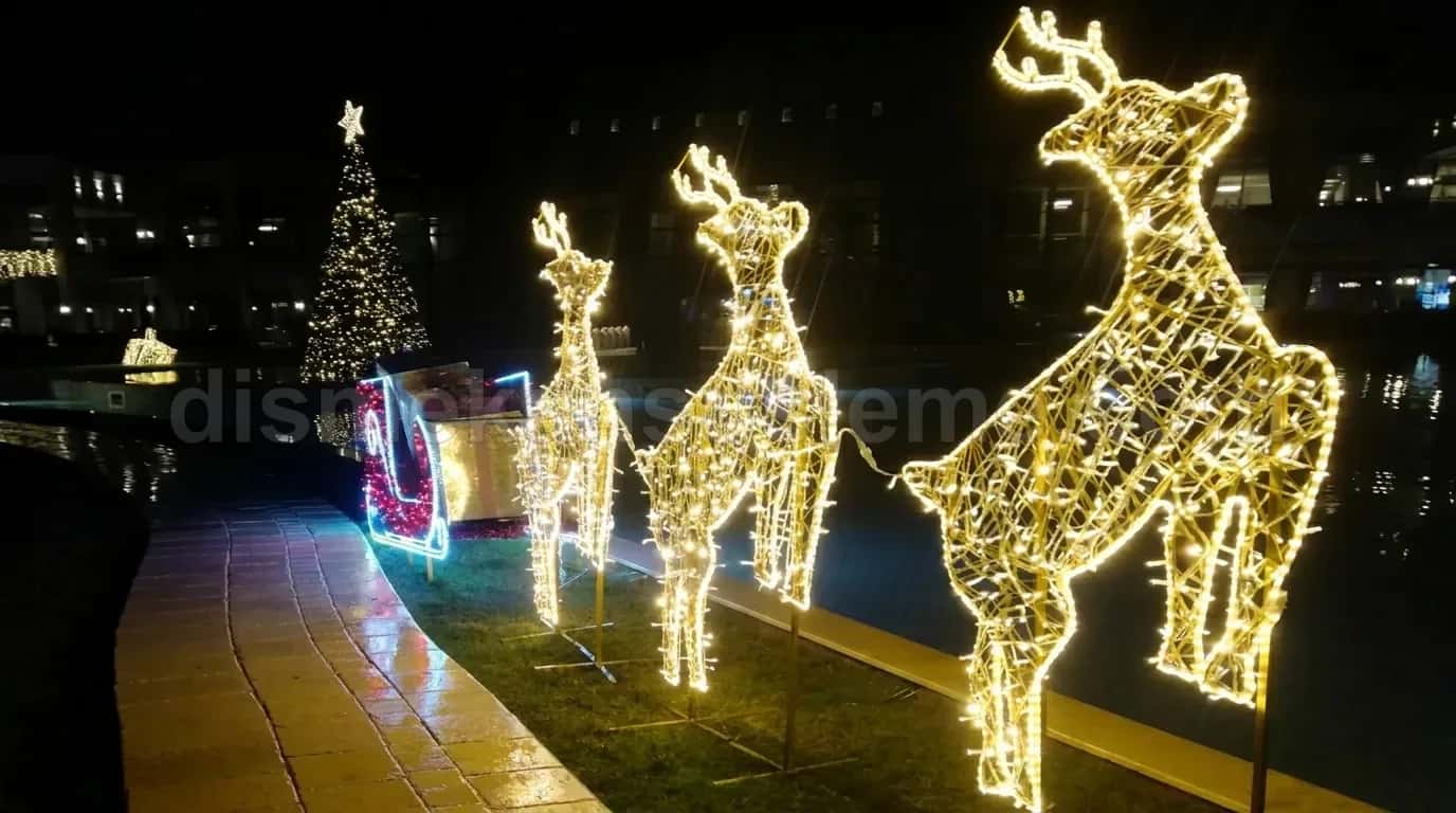 Bolu cadde ve belediye yılbaşı motif aydınlatma #624