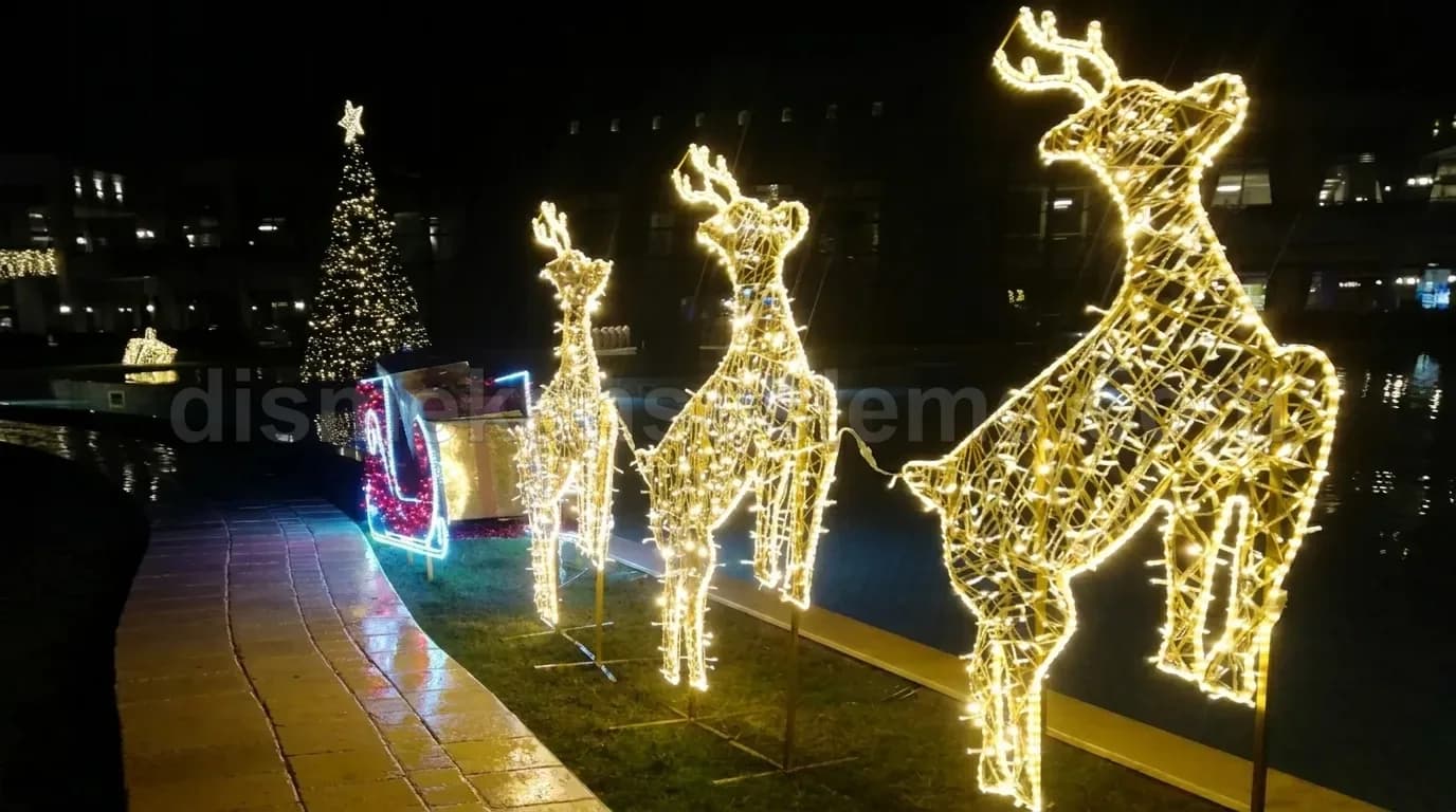 Bolu cadde ve belediye yılbaşı motif aydınlatma #624