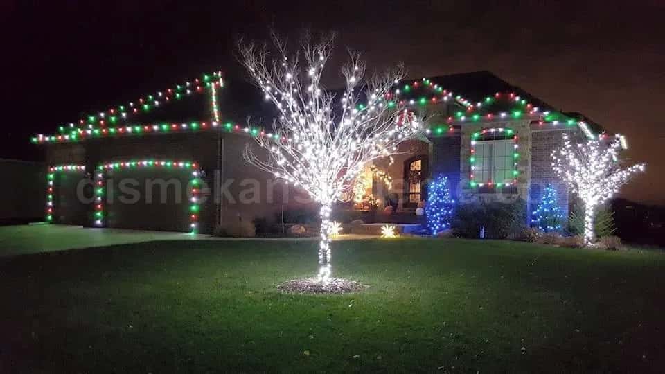 Isparta villa bahçesi yılbaşı çam ağacı ışıklandırma #160