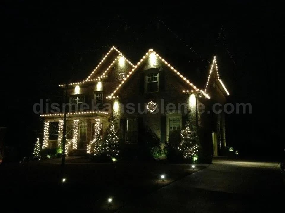 Muğla villa bahçesi yılbaşı çam ağacı ışıklandırma #107