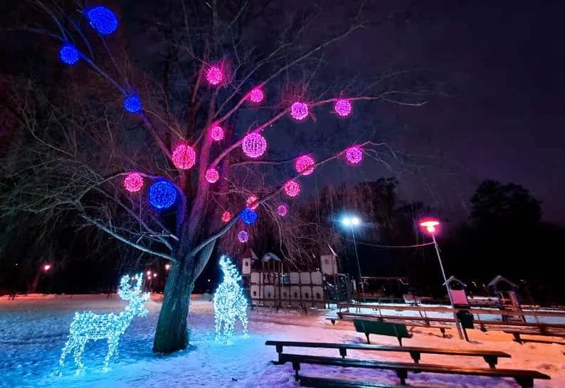 Park ağacının dallarına asılı pembe ve mavi ışık topları, altta geyik figürleri