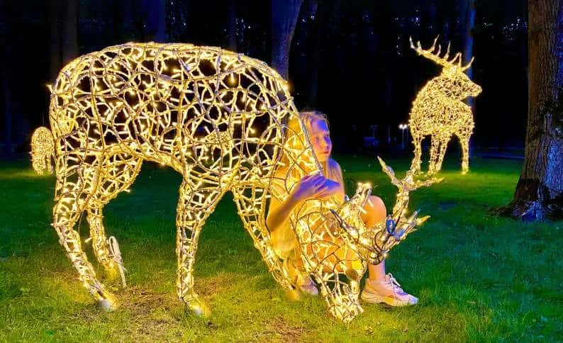 Park zemininde sıcak beyaz LED geyik ve yavrusu figürleri, gece