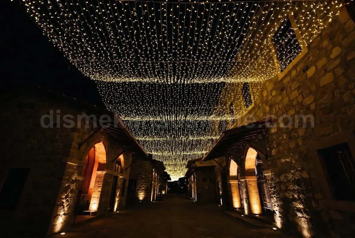 Siirt villa bahçesi yılbaşı çam ağacı ışıklandırma #12