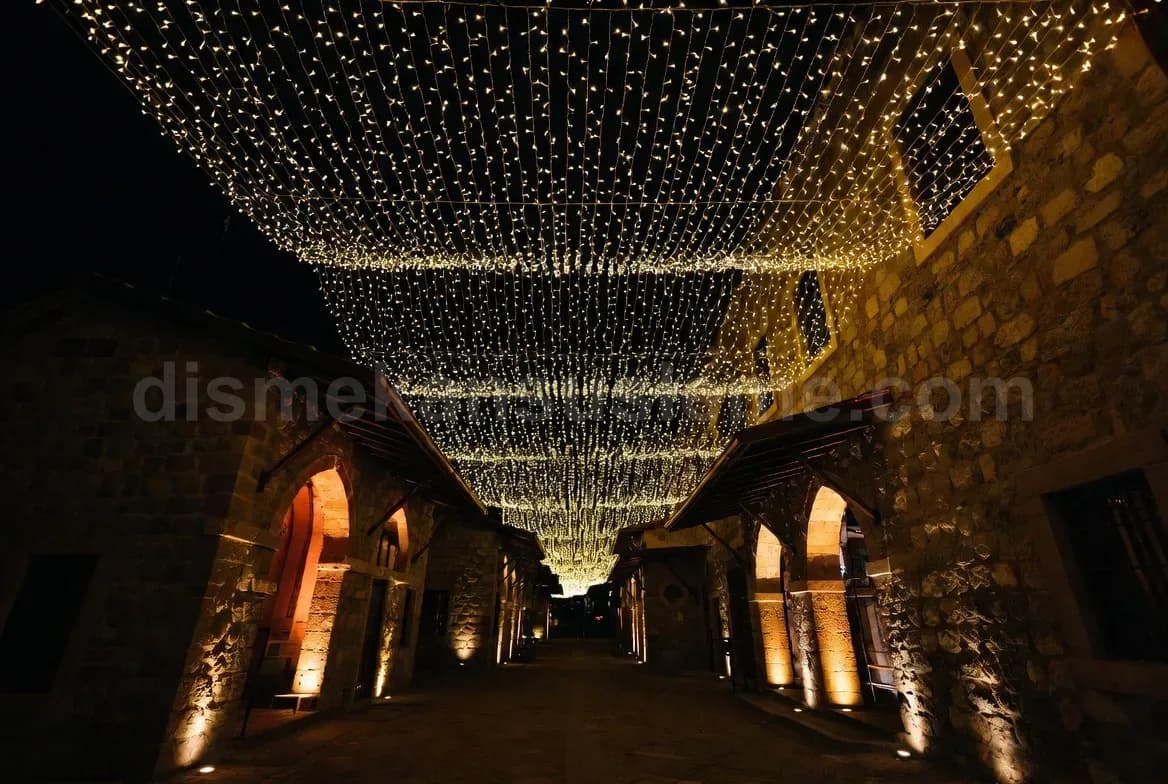 Siirt villa bahçesi yılbaşı çam ağacı ışıklandırma #12